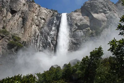 DSC_0063 (Large).JPG